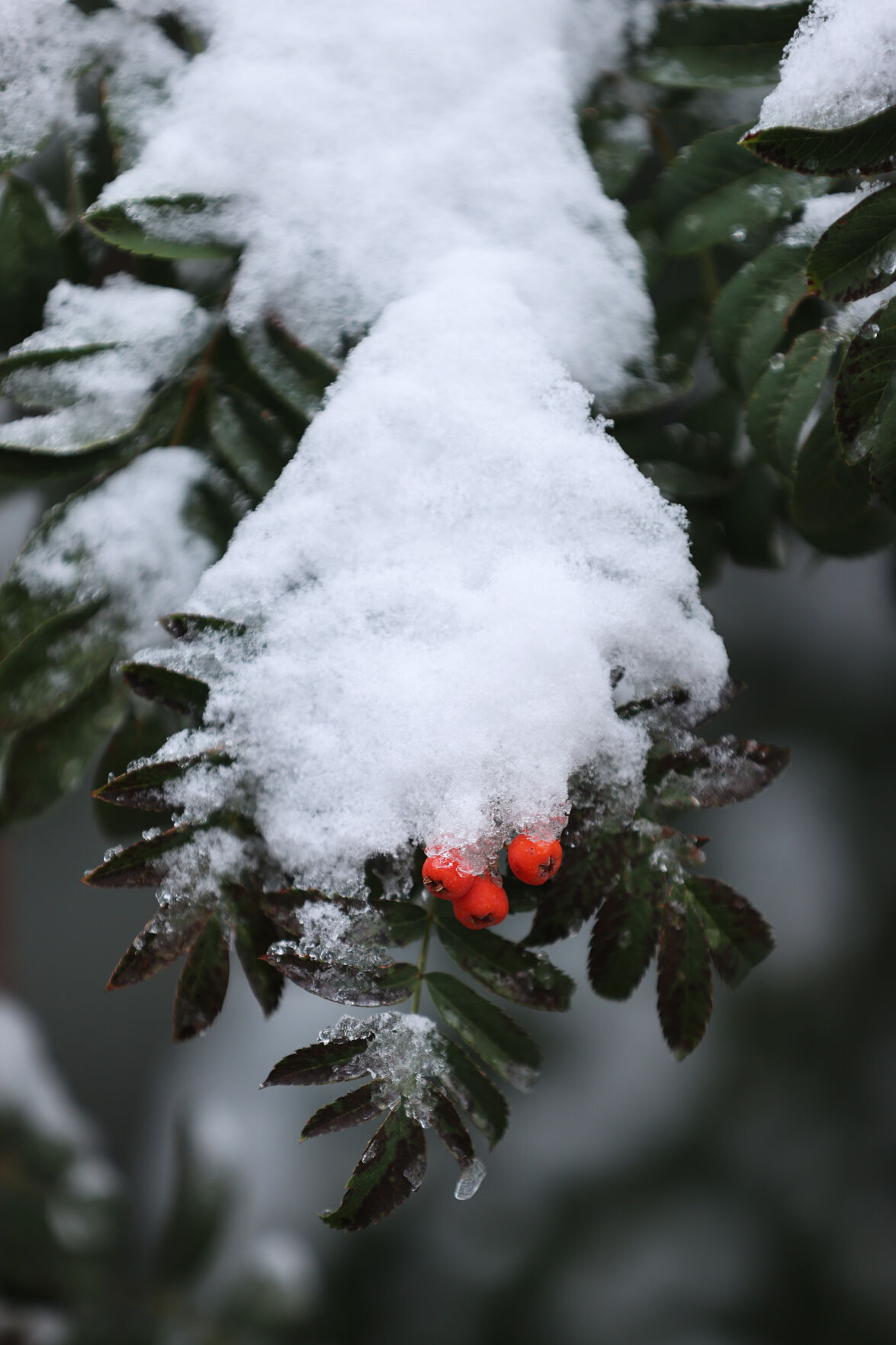 091020-news-snow 18.jpg